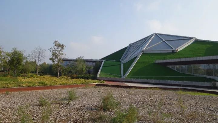 衡水湖有什么景点值得去,衡水湖坑人吗