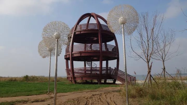 衡水湖有什么景点值得去,衡水湖坑人吗