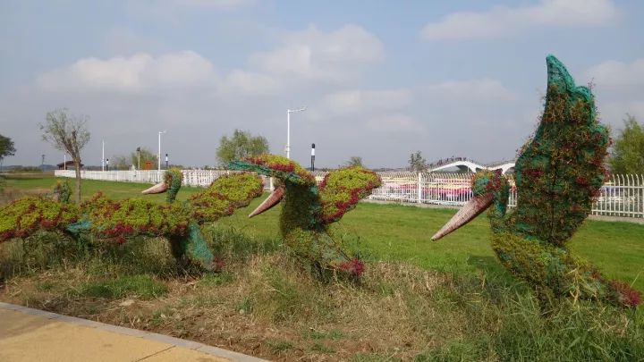 衡水湖有什么景点值得去,衡水湖坑人吗