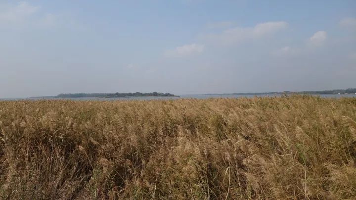 衡水湖有什么景点值得去,衡水湖坑人吗