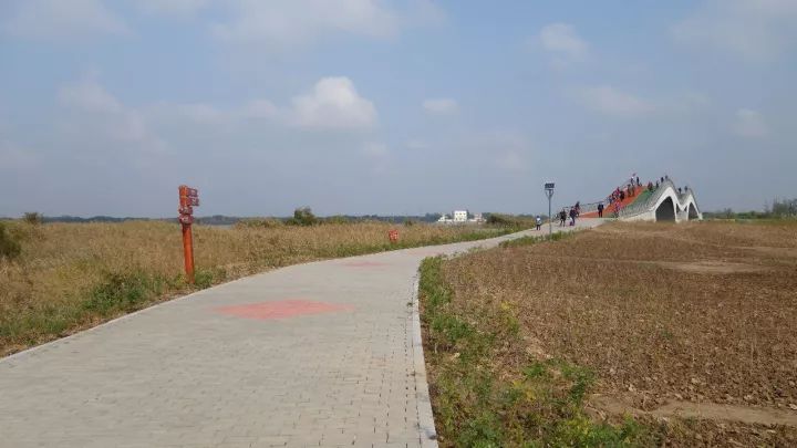 衡水湖有什么景点值得去,衡水湖坑人吗