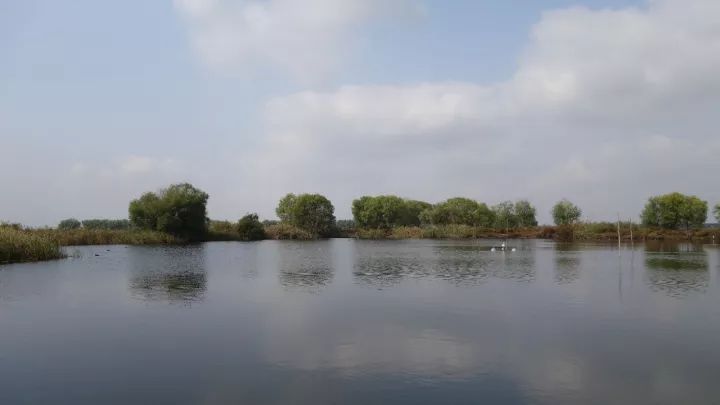 衡水湖有什么景点值得去,衡水湖坑人吗