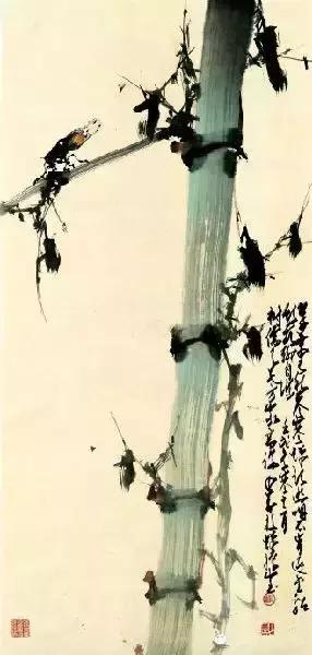 赵少昂花鸟鱼虫全集,中国花鸟大师赵少昂