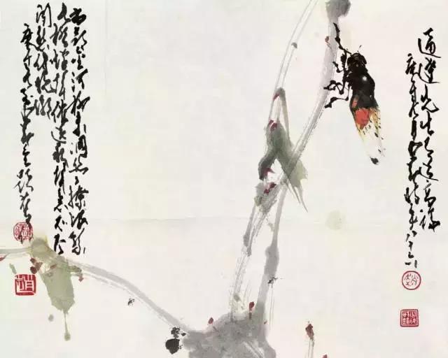 赵少昂花鸟鱼虫全集,中国花鸟大师赵少昂