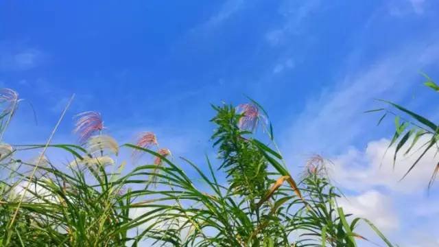 最易读错的100个汉字,古代容易读错的字