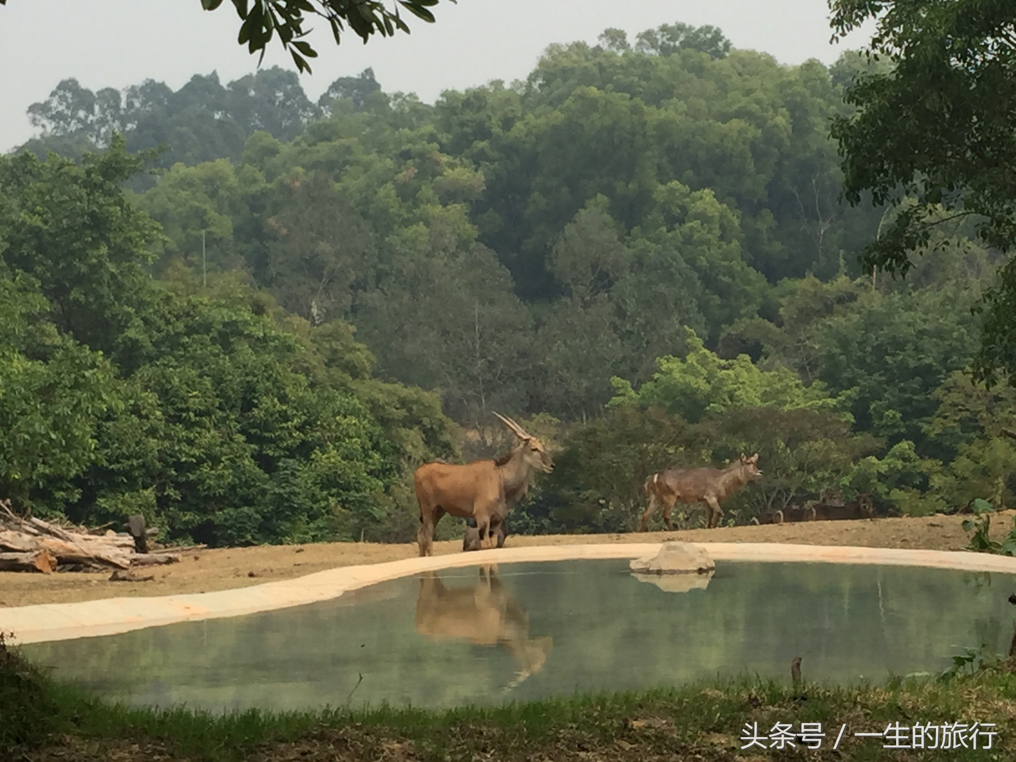 世界上真的有最大的动物园吗,二十元门票的动物园真的很实惠