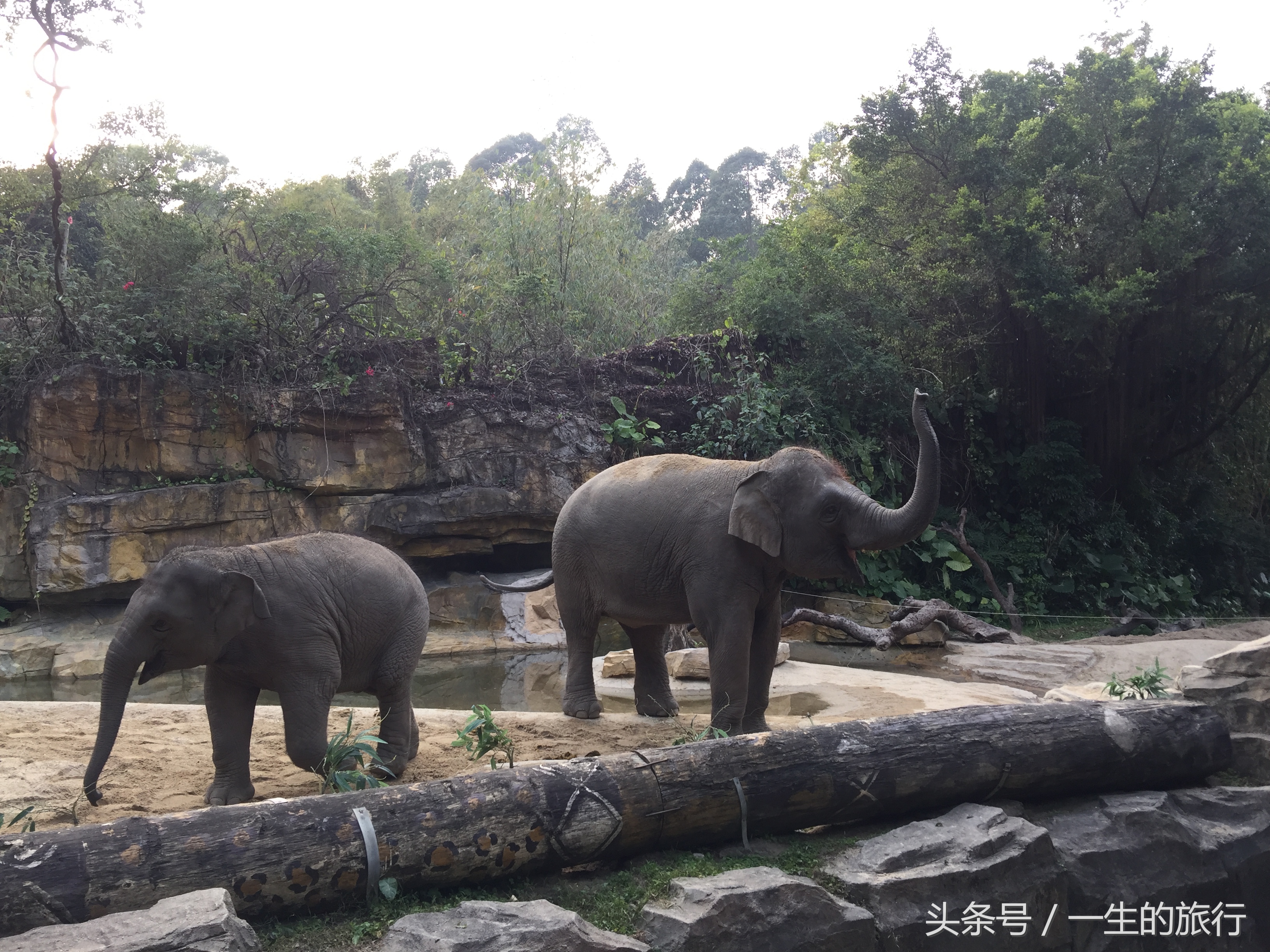 世界上真的有最大的动物园吗,二十元门票的动物园真的很实惠