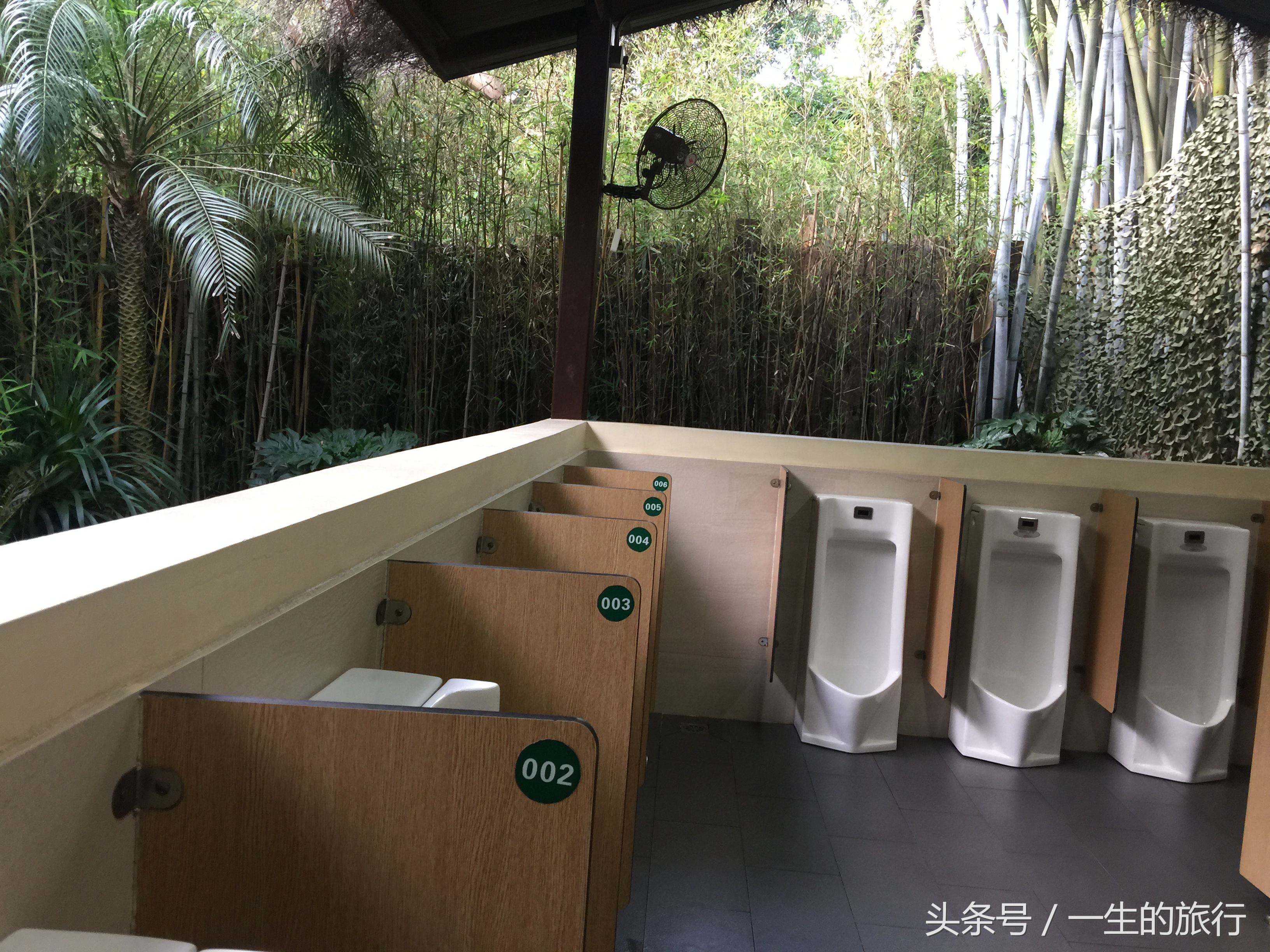 世界上真的有最大的动物园吗,二十元门票的动物园真的很实惠