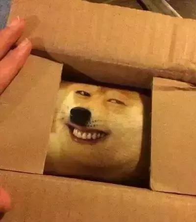 看到这些雷人的快递包装，我的内心是崩溃的！