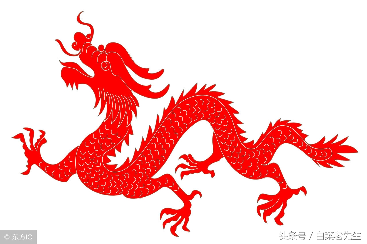 梦见出现12生肖的样子,梦见十二生肖分别代表着什么