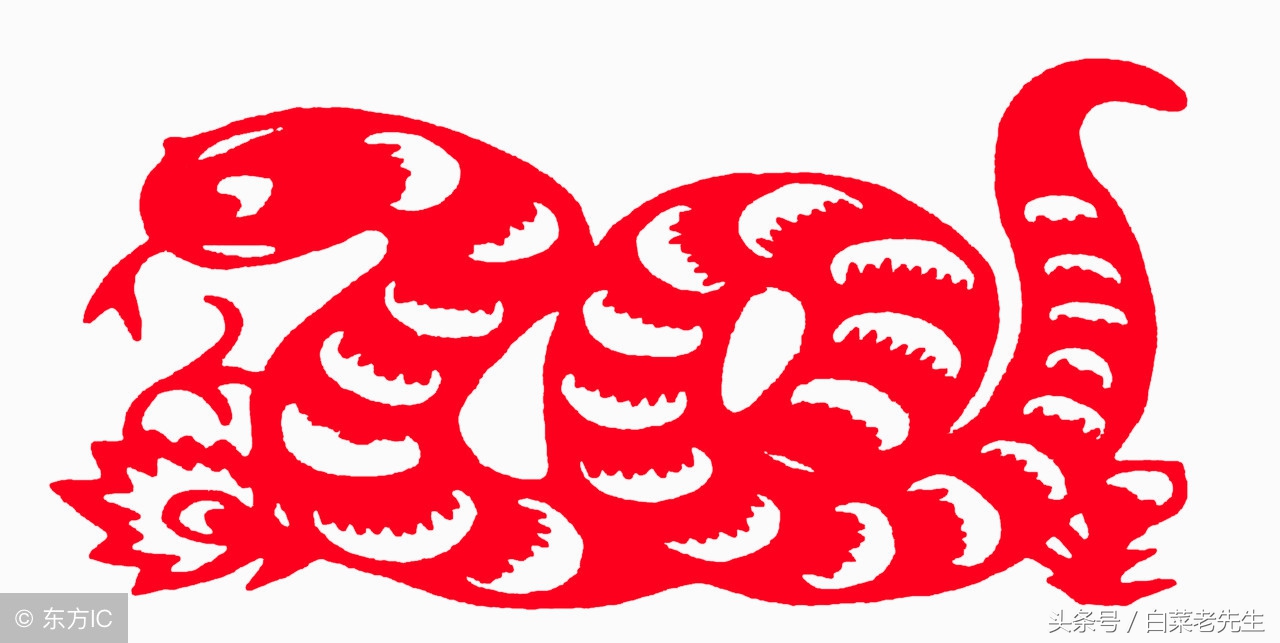 梦见出现12生肖的样子,梦见十二生肖分别代表着什么