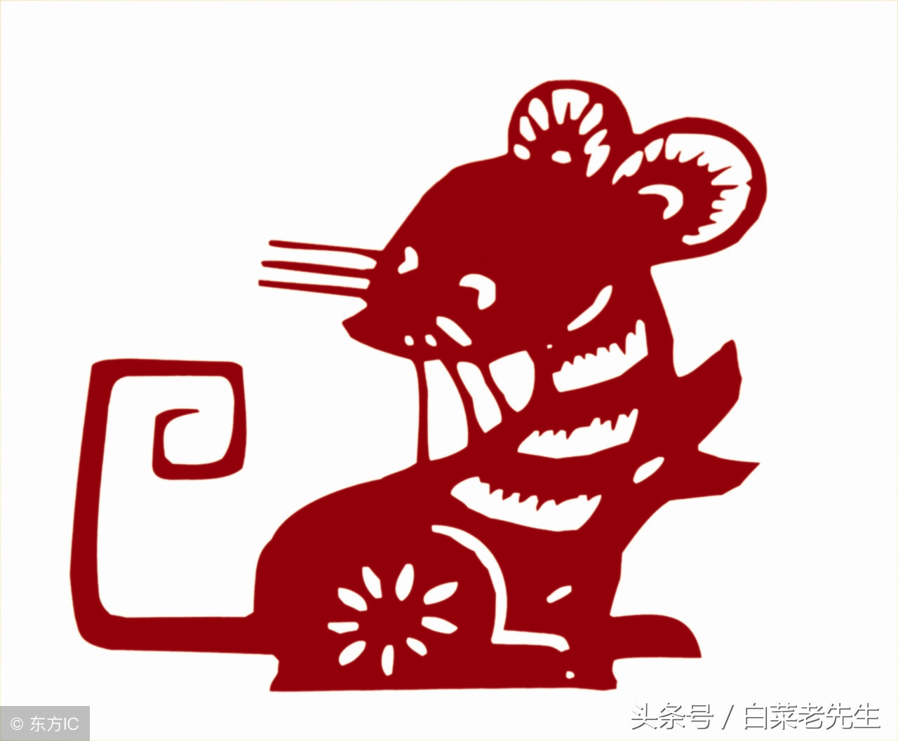 梦见出现12生肖的样子,梦见十二生肖分别代表着什么