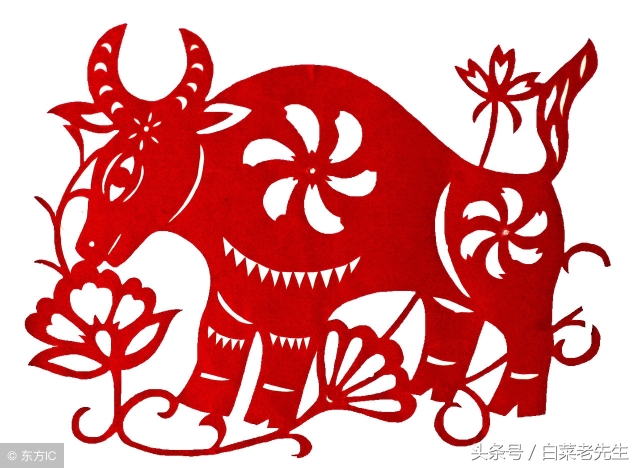 梦见出现12生肖的样子,梦见十二生肖分别代表着什么