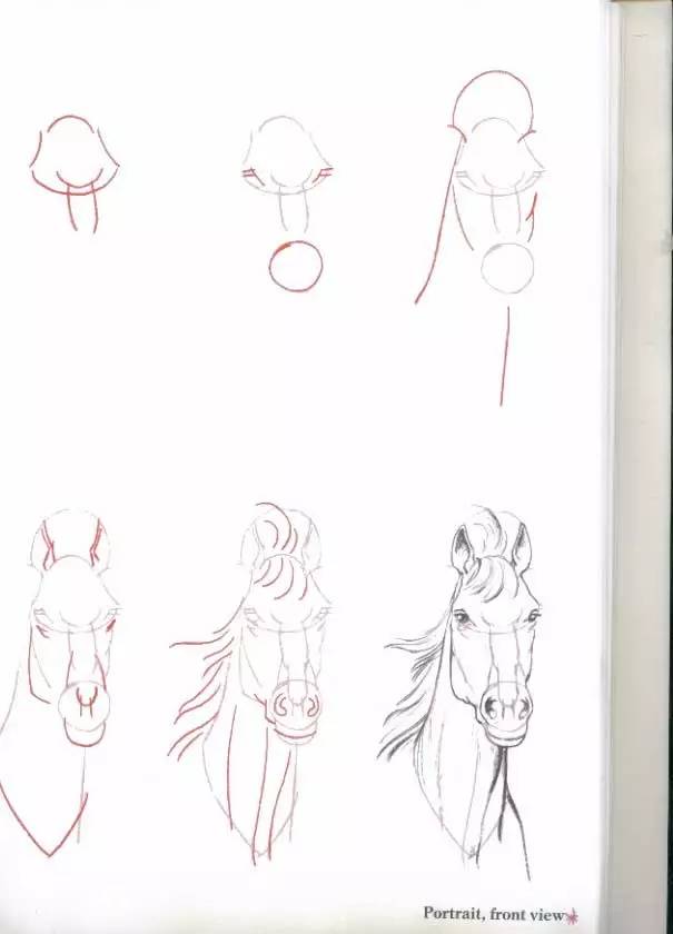 画一个简单又好看的马,教你一分钟画马