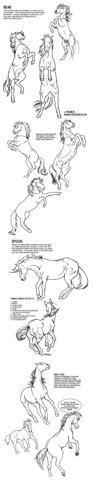 画一个简单又好看的马,教你一分钟画马