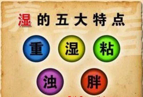 中医所说的湿是什么,中医中的湿究竟是什么