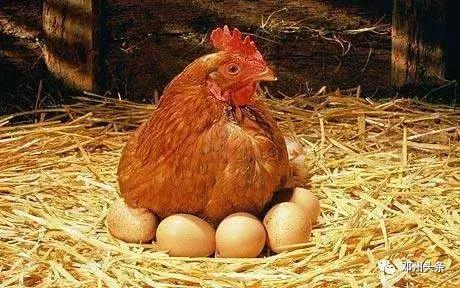 邓州的风土人情,乡土乡情邓州