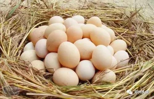 邓州的风土人情,乡土乡情邓州