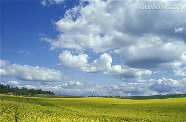 减字木兰花其三,减字木兰花暮春杂咏