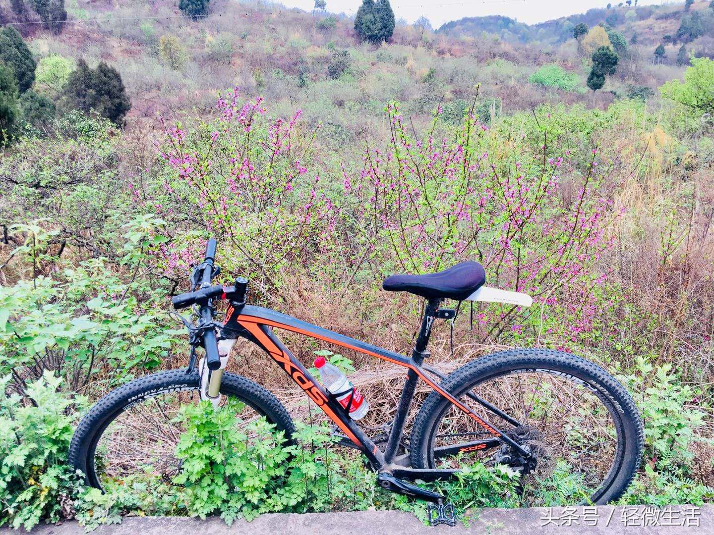 骑记:桃花十里,只取其一