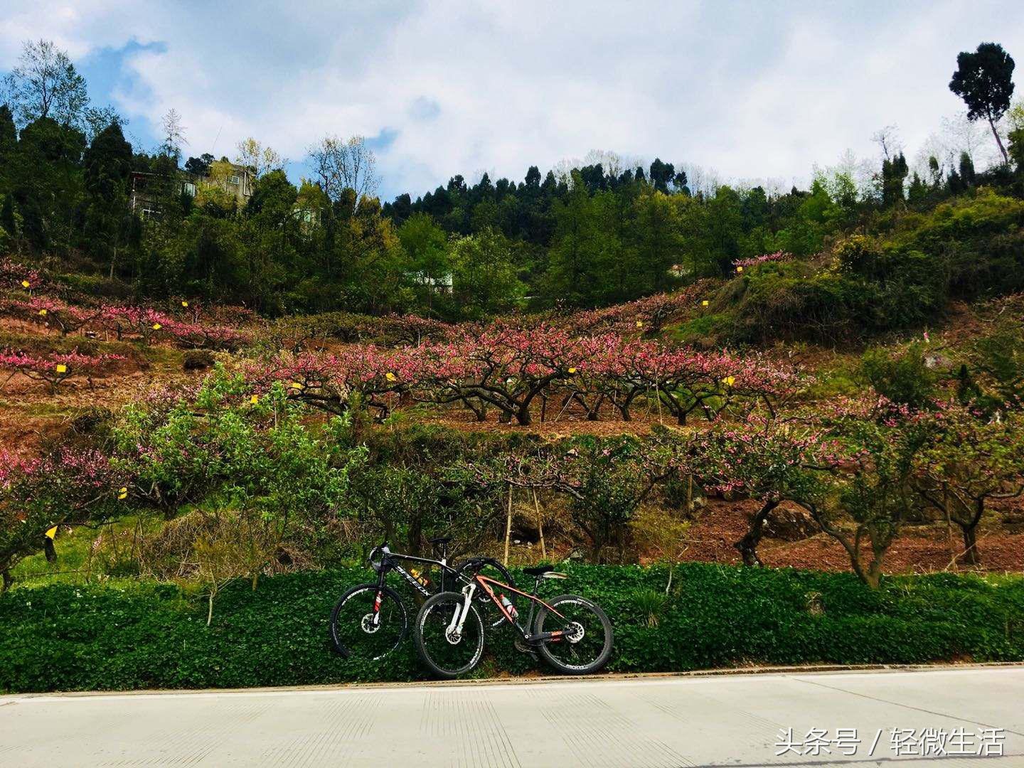 骑记:桃花十里,只取其一