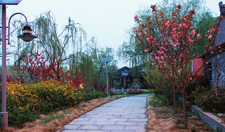 姜堰溱湖古镇,泰州姜堰溱潼