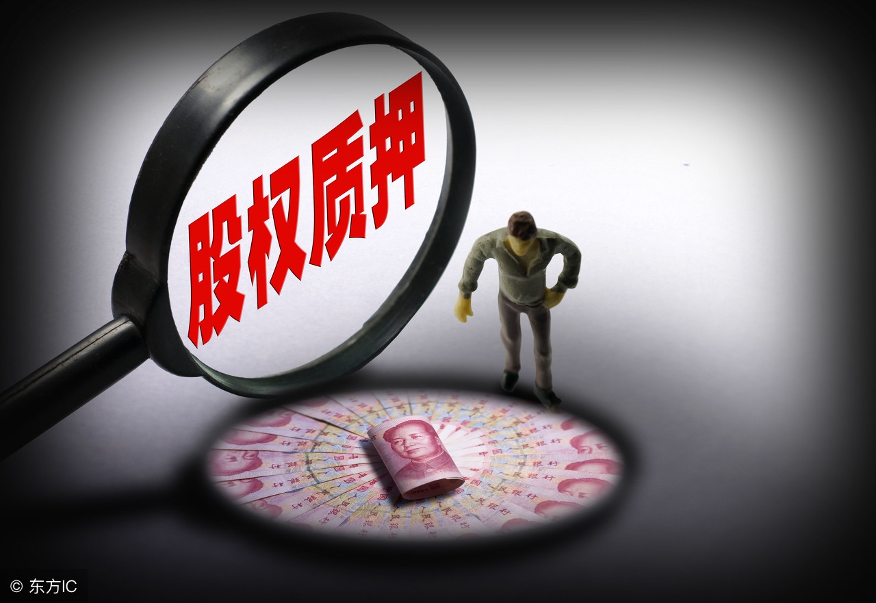 股权质押的有关司法解释,股权质押情况说明