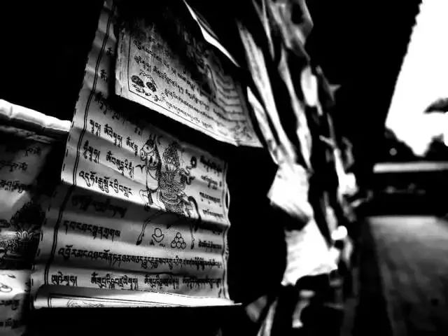 dnf裁判团图片,dnf滑板裁判团