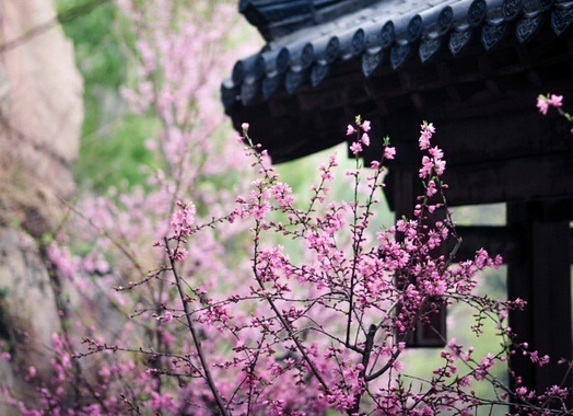 江南六言古诗,江南六大古镇古诗