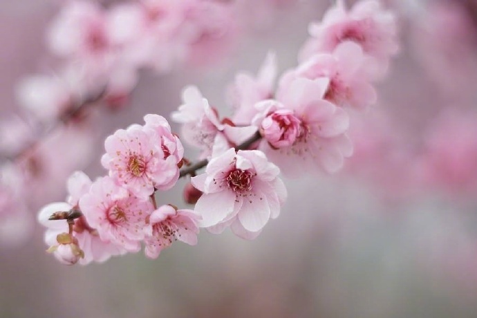 江南六言古诗,江南六大古镇古诗