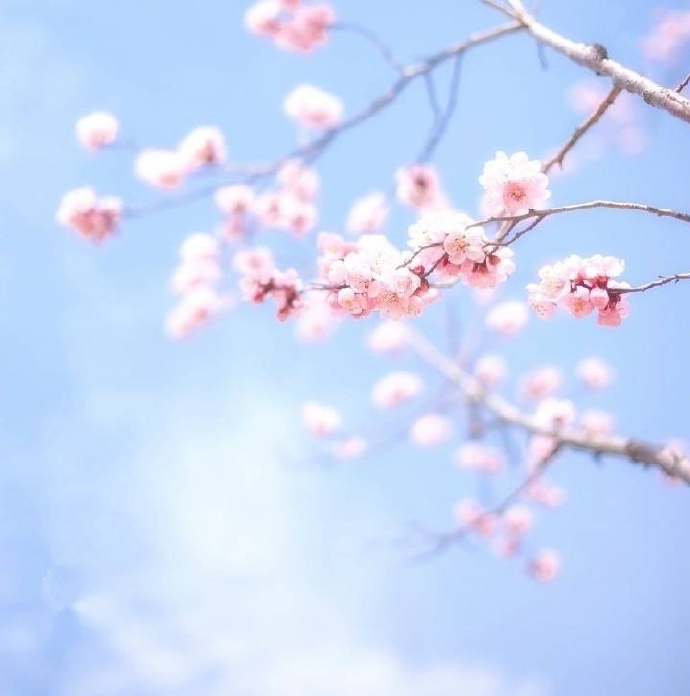 江南六言古诗,江南六大古镇古诗