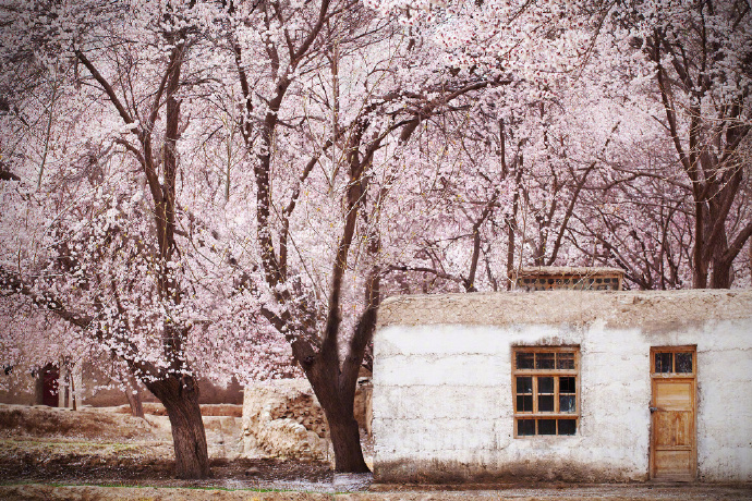 江南六言古诗,江南六大古镇古诗