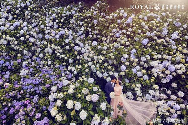 2023必拍9种婚纱照风格,必拍的几种婚纱风格