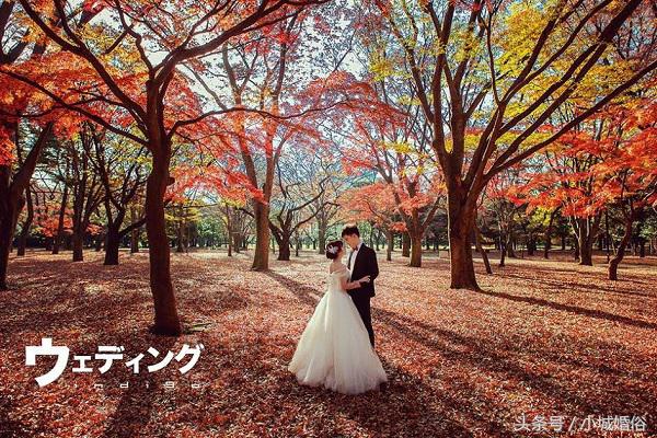 2023必拍9种婚纱照风格,必拍的几种婚纱风格