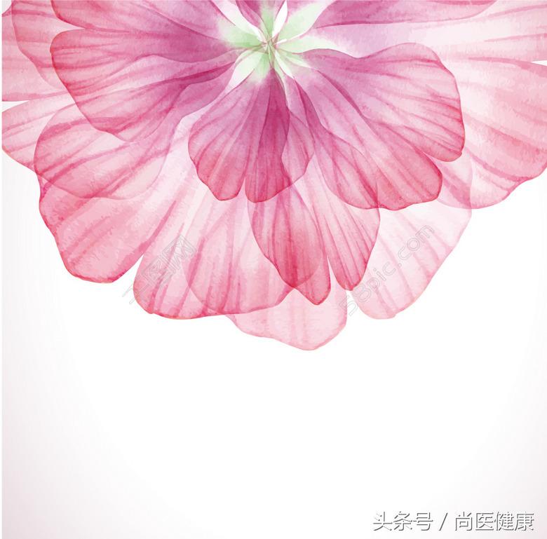 霉菌性阴道炎的症状及治疗方法,滴虫性阴道炎的症状及治疗方法