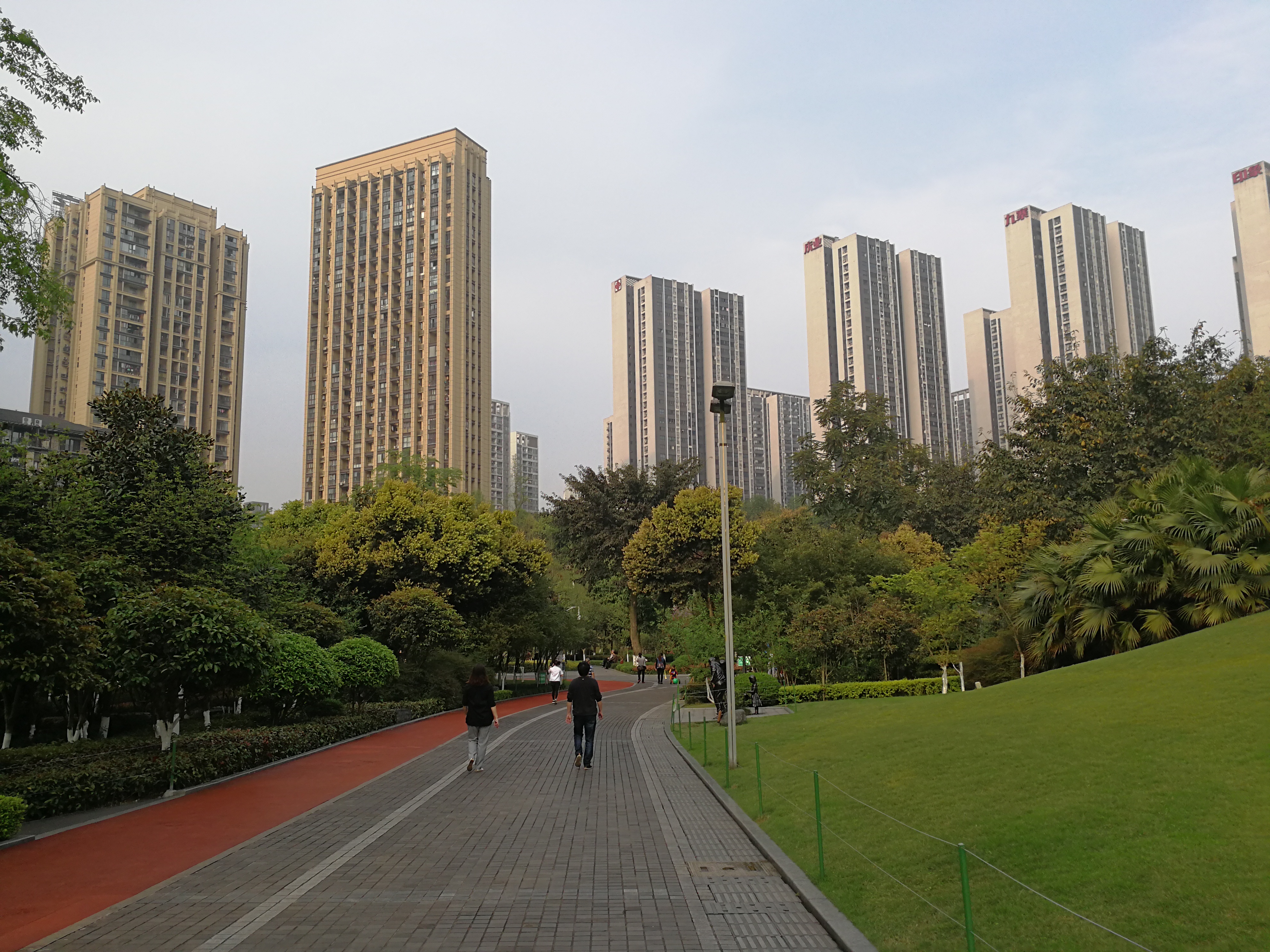 城市里被遗忘的地方,被人遗忘的中央公园