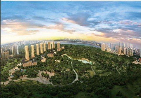 城市里被遗忘的地方,被人遗忘的中央公园