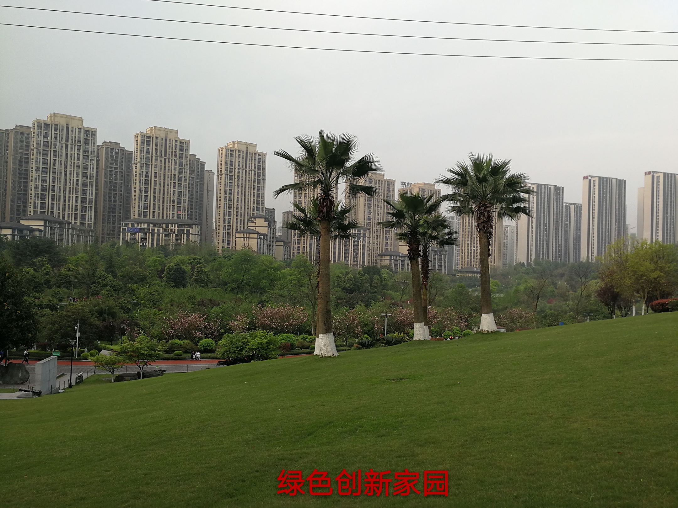 城市里被遗忘的地方,被人遗忘的中央公园