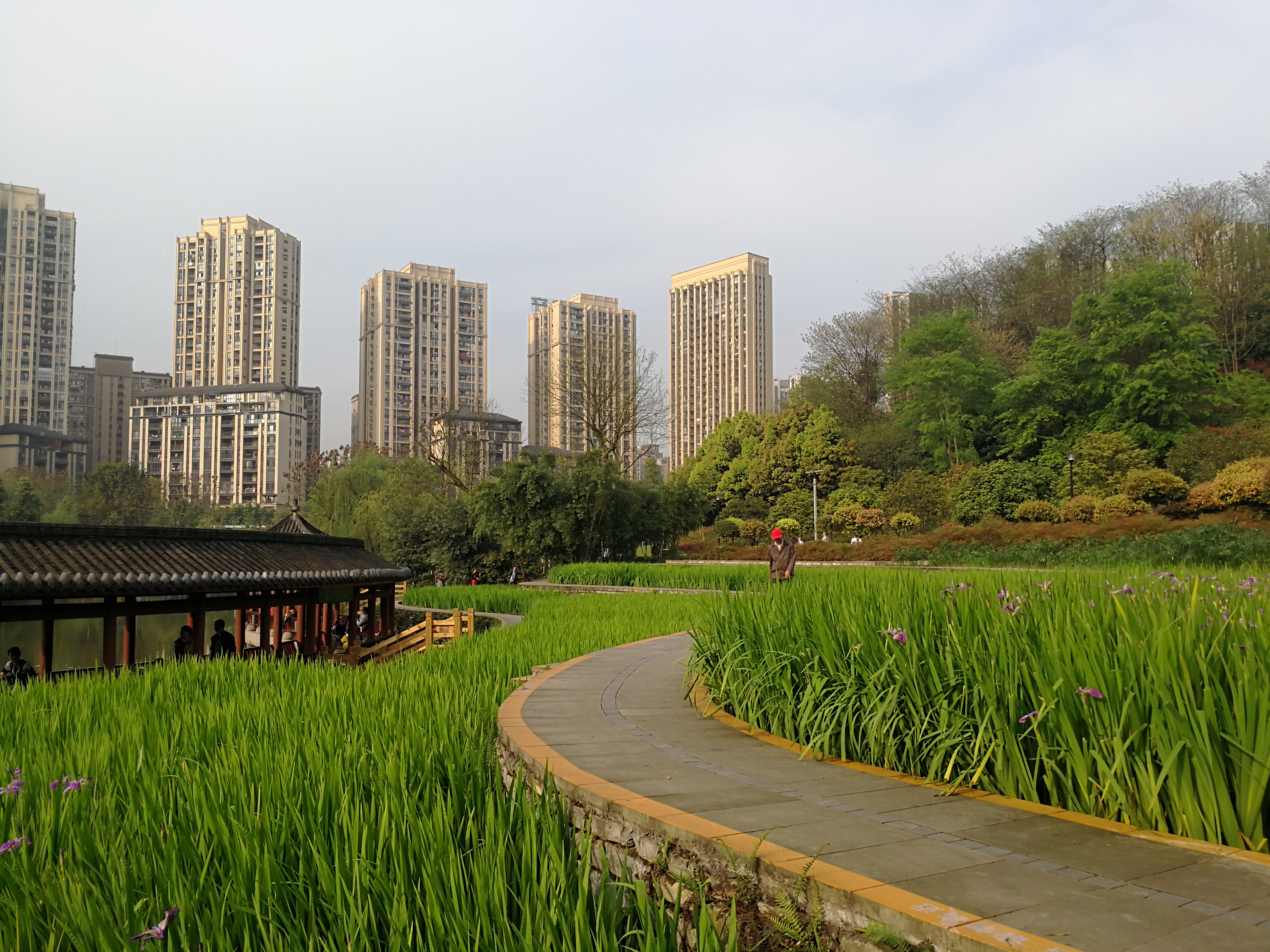 城市里被遗忘的地方,被人遗忘的中央公园