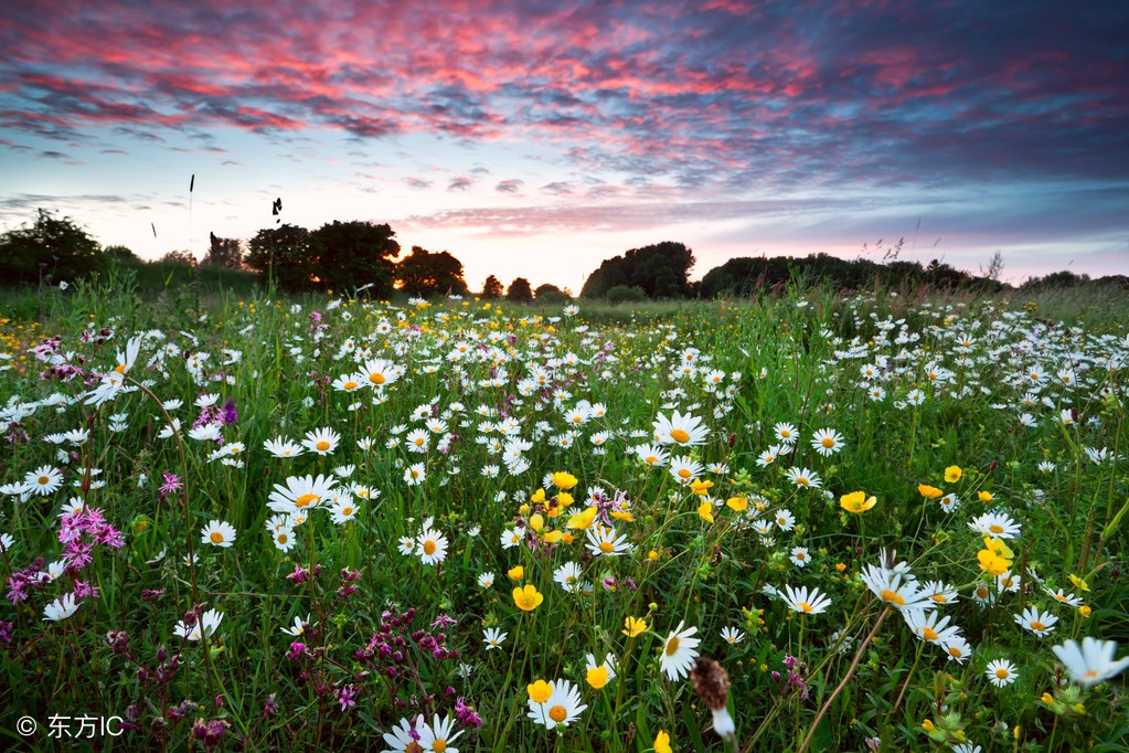 当你感觉苦了，累了，烦了，打开看看这7句话，心里就好受多了！