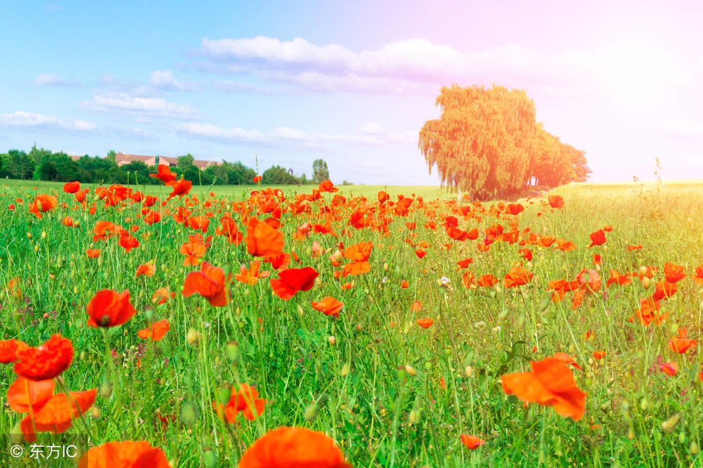 当你感觉苦了，累了，烦了，打开看看这7句话，心里就好受多了！