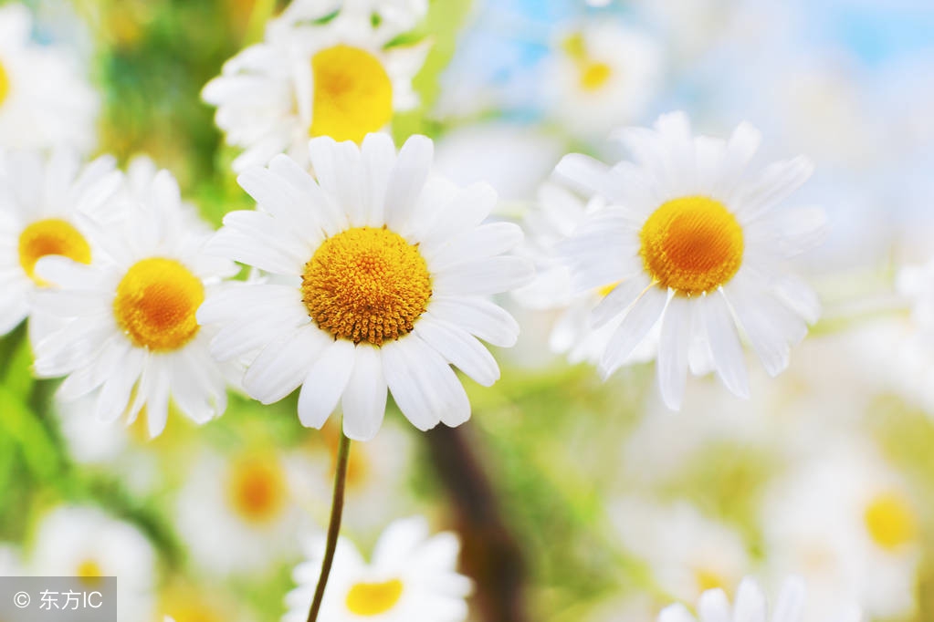 当你感觉苦了，累了，烦了，打开看看这7句话，心里就好受多了！