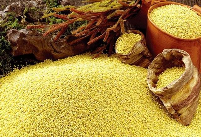 长痘内调吃什么蔬菜水果,长痘吃什么粥