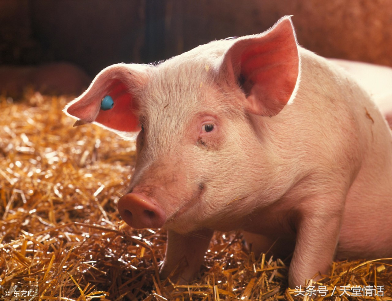 愚人节怎么玩才有惊喜呢,愚人节反套路攻略你值得拥有