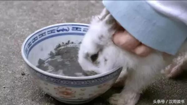 毒药中的泥石流什么鸩毒鹤顶红断肠草在它面前都弱爆了