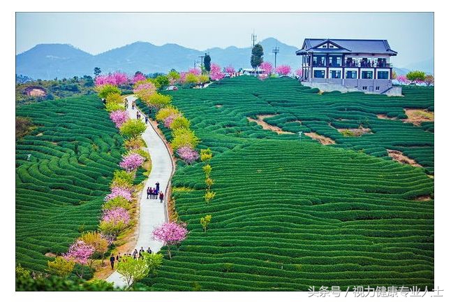 眼镜的太阳镜好坏怎么区别,偏光太阳镜怎么挑选镜片的好坏呢