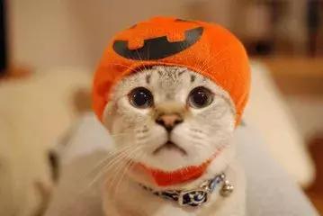 你的微信名暴露了什么,你的微信名暴露了你的阶层