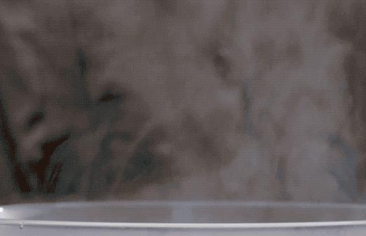 妈妈做的蛋炒饭真香,用生米不用鸡蛋的炒饭做法