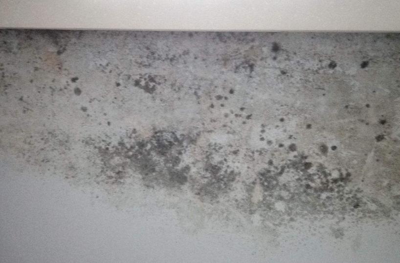 白墙脏了不用白酒轻松一招搞定,家里白墙脏了怎么办小苏打