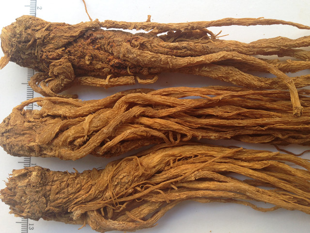 治疗气血瘀滞型痛经,缓解腹部痉挛的药有哪些